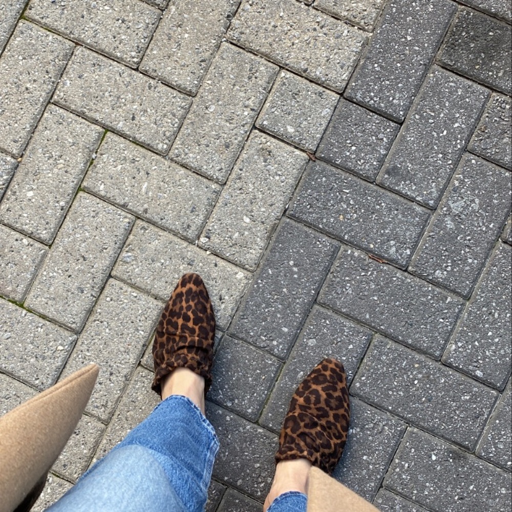 Vienna Leopard - Picture 6 of 6